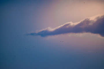 Un magnifique coucher de soleil 