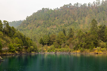 Forest and Lake