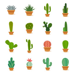 Set of cactus in a potplants