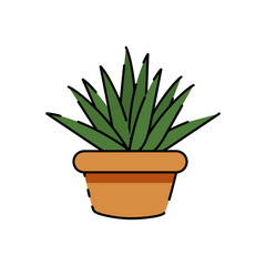 Isolated cactus icon