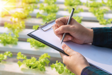 Close up hands of woman farmer holding document and pen checking fresh green oak lettuce salad, hydroponic vegetable in greenhouse garden nursery farm. Organic vegetable farm and healthy food concept