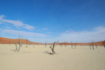 Namibia Africa