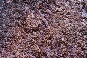 stone texture macro