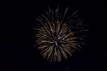 Fototapeta premium Festive salute in night sky. Explosions of fireworks and pyrotechnics in the sky.