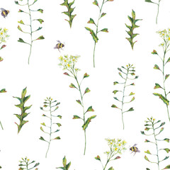 Fototapeta na wymiar Watercolor vintage seamless pattern of Capsella Bursa-Pastoris Meadow Flowers