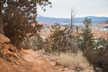 Bryce Canyon, Utah, USA