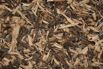 close up of wood shavings