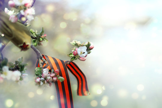 St. George ribbon on a branch of a flowering apple tree and Russian soldier cap. Great victory symbol, Victory Day.