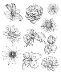 Hand drawing flowers set
