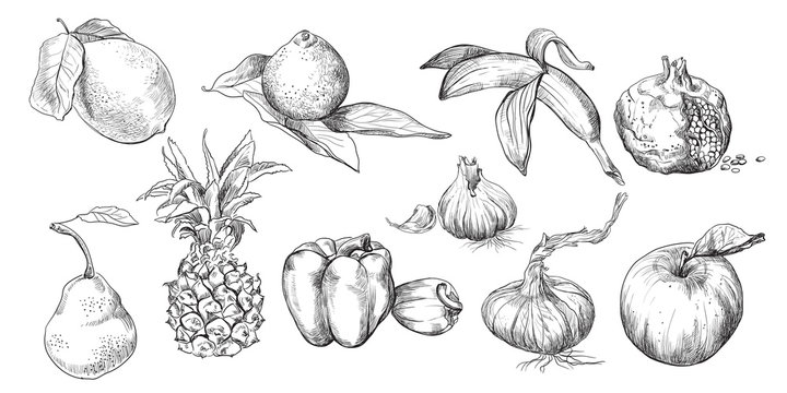 Hand drawing fruits set