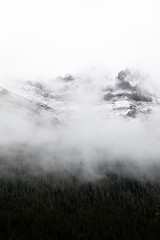 mountain with snow and fog