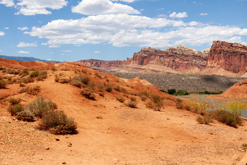 Scenic landscapes in Capitol Reef National Park