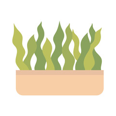 Isolated plant inside pot vector design