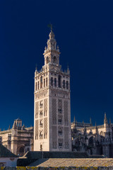 Fototapeta na wymiar cathedral of st mary of the virgin mary in seville