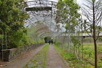 Green tunnel in Hsinchu, Taiwan.