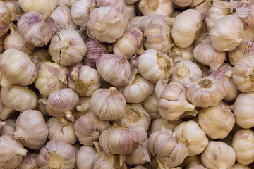 a lot of garlic in a heap at the supermarket counter, market