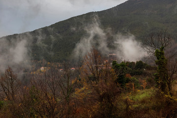 Fog in the mountains (Greece, Peloponnese).