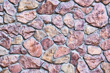 kitten close-up of geretochromia