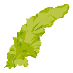 This is a green algae in the sea.