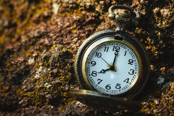 Vintage old pocket watch placed on the rock in forest and morning sunlight. At 8 o&rsquo;clock. Closeup and copy space.