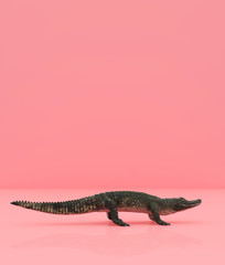 Crocodile on pastel color background,3d rendering