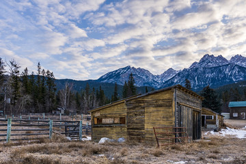 Abandoned weathered barn, surrounded by field and a forest near rocky mountains British Columbia Canada.