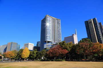 広大な公園と建ち並ぶ高層ビルの風景