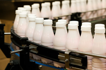 Production line of milk and yogurt