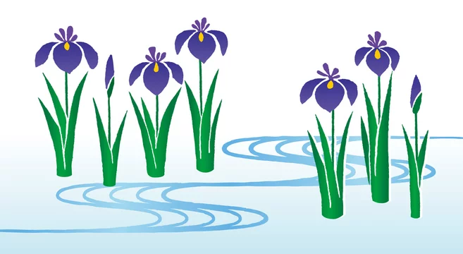 端午の節句 手描きの和風花菖蒲イラスト Stock Vector Adobe Stock