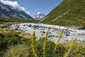 View of a glacial river in the Hooker Valley with Mount Cook, New Zealand