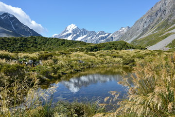 Reflecting view of Mount Cook in a pond, New Zealand