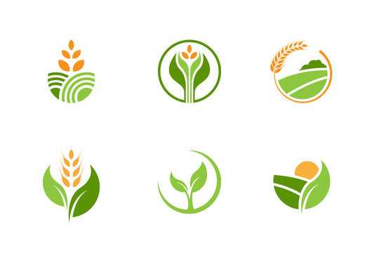 Food industry logo stock vector. Illustration of grain - 48071124