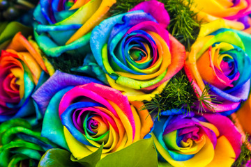 Fototapeta na wymiar bouquet of roses with a thousand colors for everyone's rights