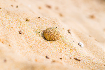 feet out in the sand, little girl on the beach plays with the sand
