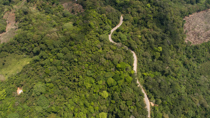 aerial view of green forest and road