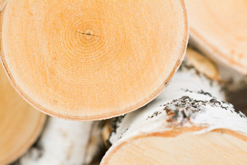 background sawn wood birch, stump, natural wood texture