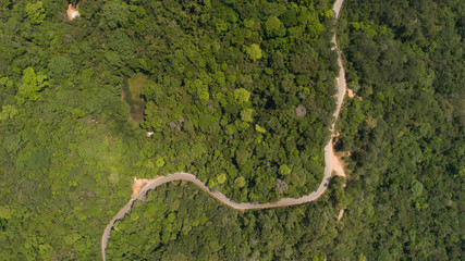 aerial view of green forest and road