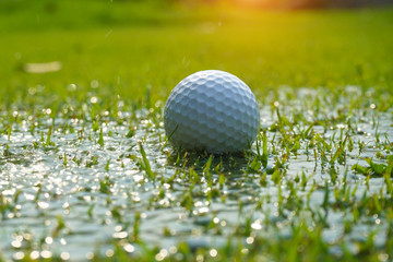 Problems and obstacles of the golfer.