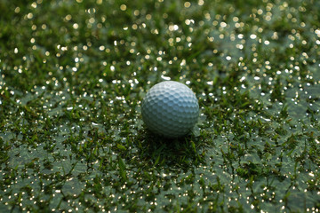 Problems and obstacles of the golfer.