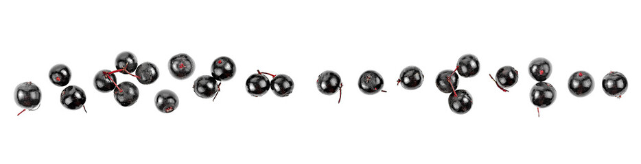 Black Elderberry isolated on a white background, top view. Elderberry fresh fruit. Sambucus nigra.