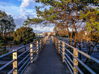 wooden bridge over the river