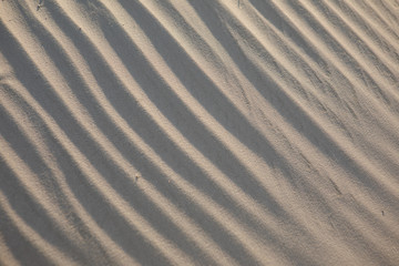 sandy texture with shadows and winds waves