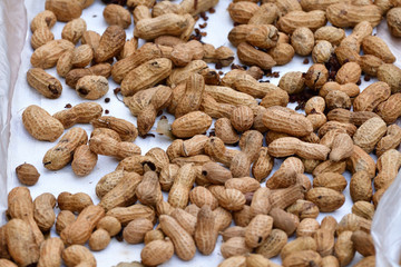 Peanuts drying in sunlight