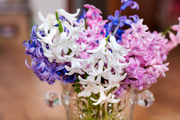 Hyacinth Flowers in a Glass Vintage Vase on a Wooden Background