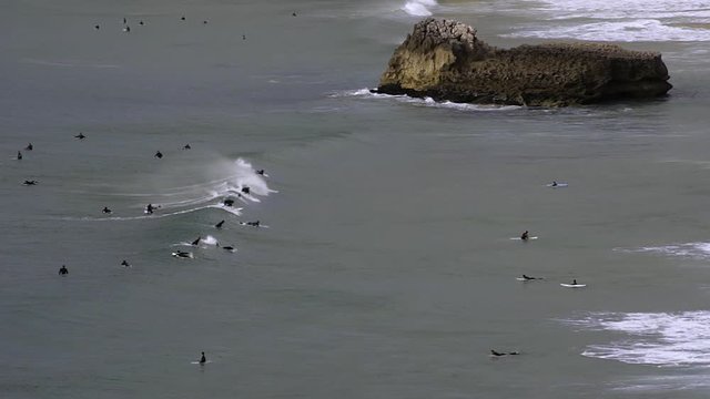 crowded surf
