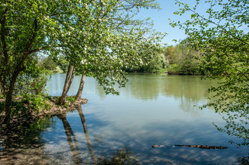 Obraz premium Blühende Bäume spiegeln sich in See