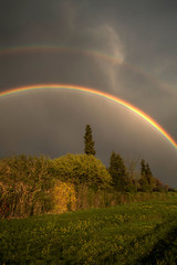 Regenbogen