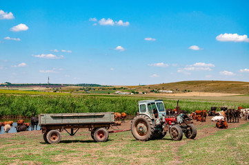Old tractor in a field. Agricultural industry. Tranquil landscape of countryside in European country.