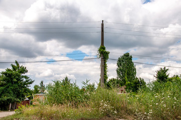 Obraz premium Rural landscape with a house. Village view of countryside in European country. Abandoned buildings and electric pillar overgrown by plants