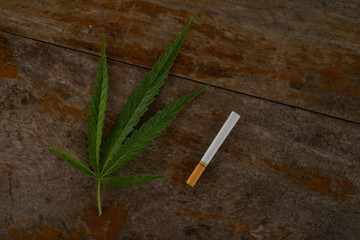 marijuana and cigarette, cigarette,drugs concept